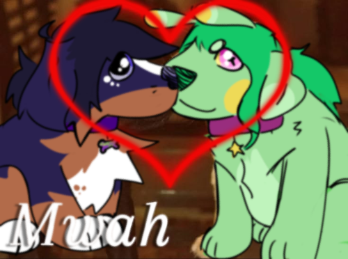 IMG 0492.png