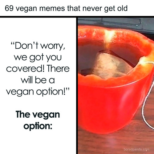 funny memes (1).jpg