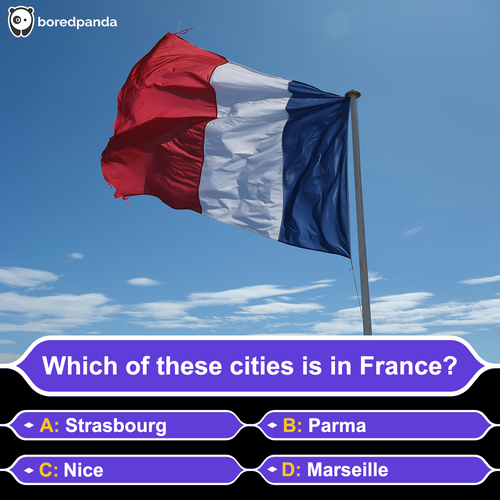 image (85).png