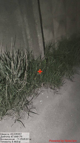 IMG 20260505 153444 4.jpg
