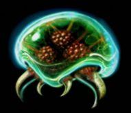 metroid.jpg