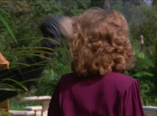 Remington Steele s2e10 My Fair Steele Ann Dusenberry hko 1.jpg