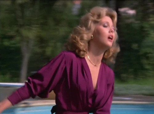 Remington Steele s2e10 My Fair Steele Ann Dusenberry hko 2.jpg
