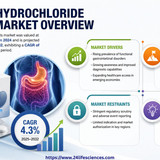 httpswww.24lifesciences.com (91)