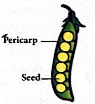 CamScanner 04 05 2026 14.37 1 (2).jpg