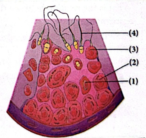 CamScanner 04 05 2026 03.21 1 (1).jpg