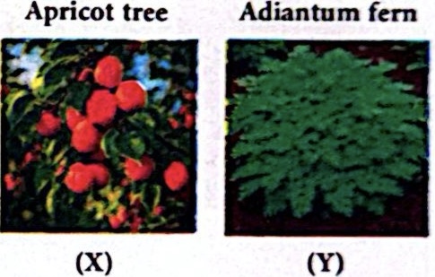 CamScanner 04 05 2026 14.37 1 (3).jpg