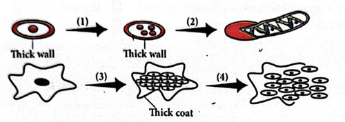 CamScanner 04 05 2026 03.21 1 (2).jpg