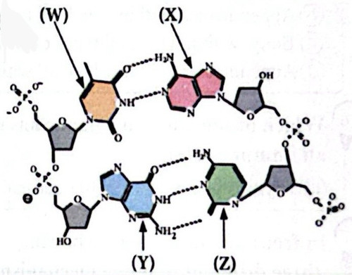 CamScanner 04 05 2026 04.24 1.jpg