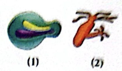 CamScanner 04 05 2026 03.21 1.jpg