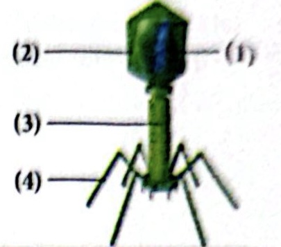 CamScanner 04 05 2026 04.24 1 (1).jpg