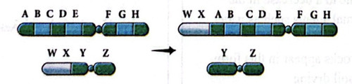 CamScanner 04 05 2026 13.52(1) 1.jpg