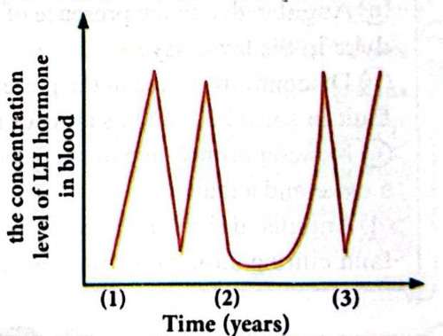 CamScanner 04 05 2026 13.52 1 (1).jpg