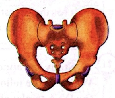 CamScanner 04 05 2026 03.22 1 (1).jpg