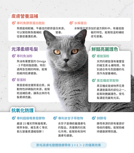 產品功能圖4.png