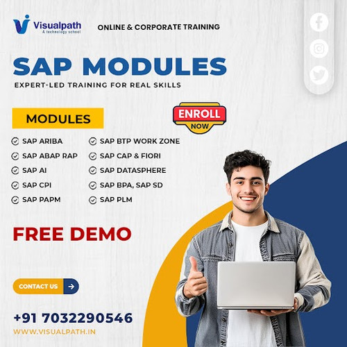 Launch Your High-Growth SAP Career with Visualpath Now.jpg