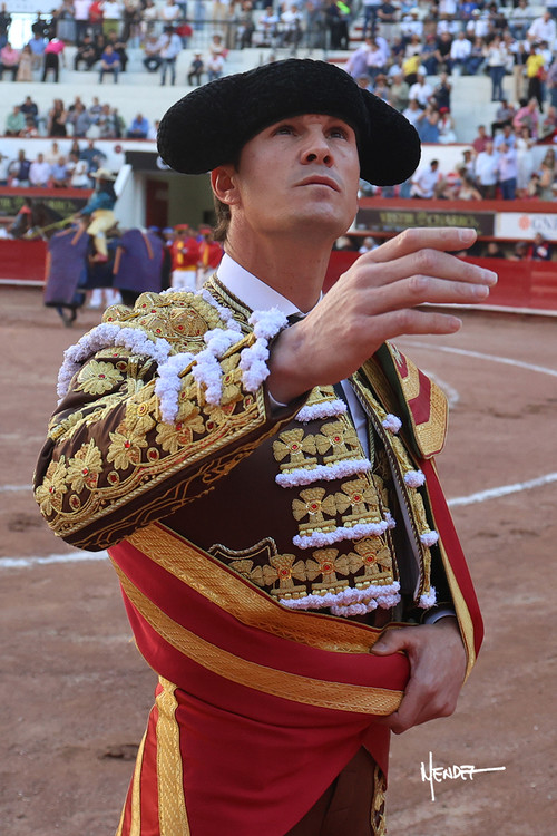 215A0294.jpg