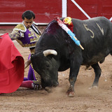 BQoiS99.th.jpg