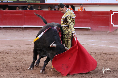 215A1392.jpg