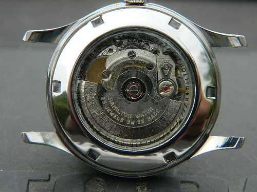 DSCN8242.jpg