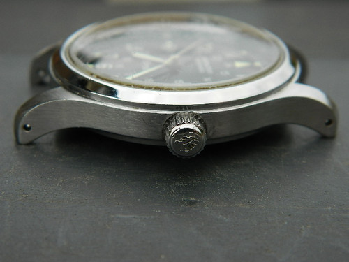 DSCN8239.jpg