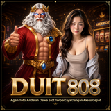 duit808