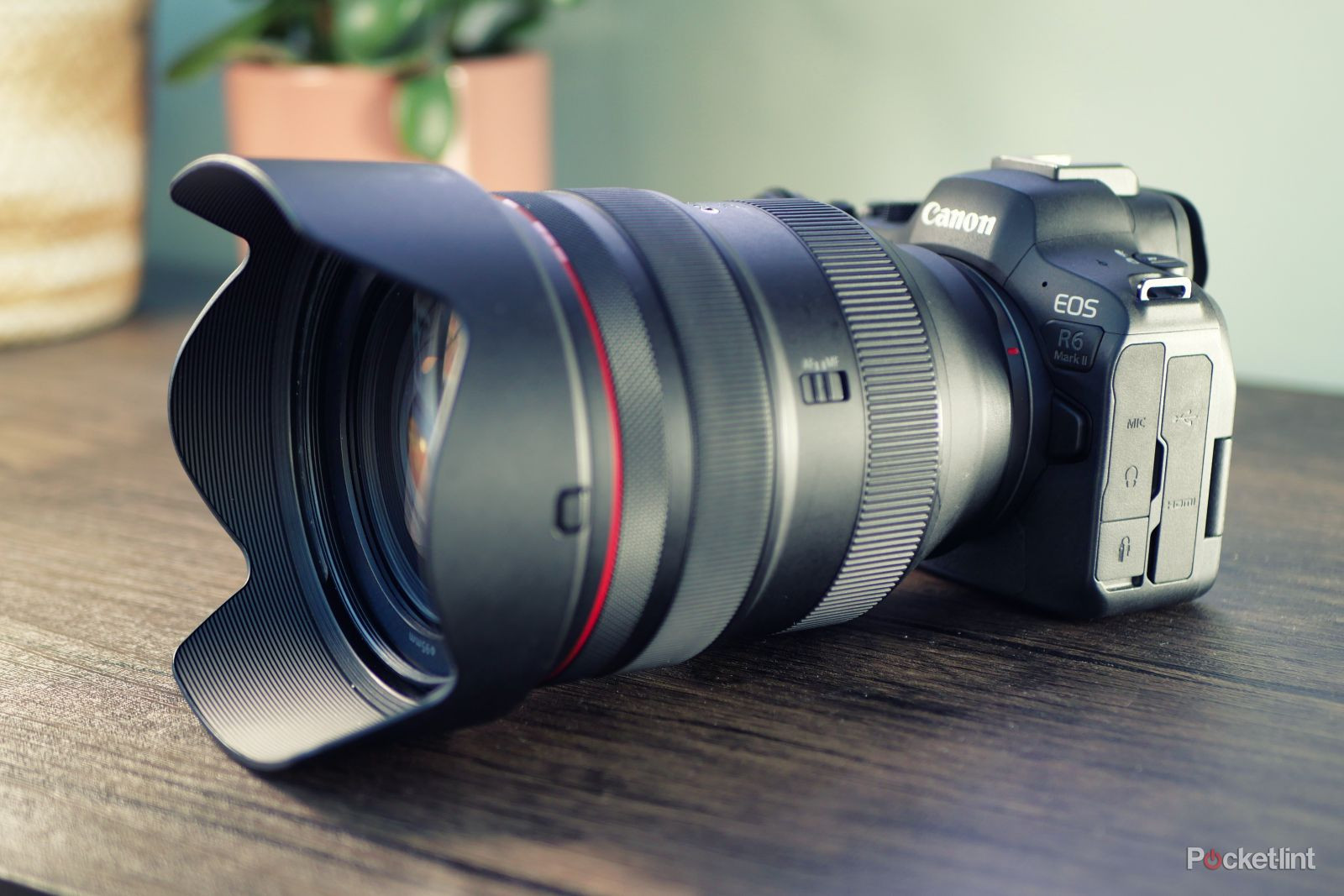 camera photography