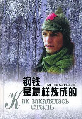 钢铁是怎样炼成的 (2000)-光鸭云盘资源交流社区