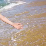 ZENBUUMIKU 36