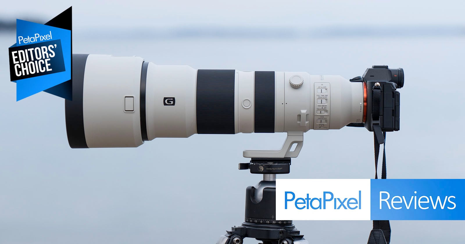 Sony 400-800mm f/6.3-8 G Review: Siêu Phẩm Chụp Ảnh Thiên Nhiên