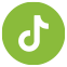 tiktok logo.2