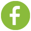 facebook logo.2