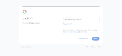 2026 05 05T17 14 43 490Z GOOGLE email entered password.png