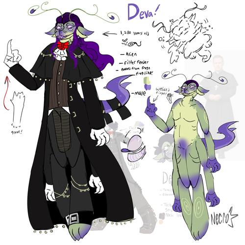 IMG 0451.png