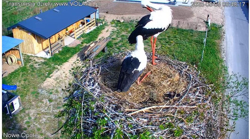 MWSnap063.jpg