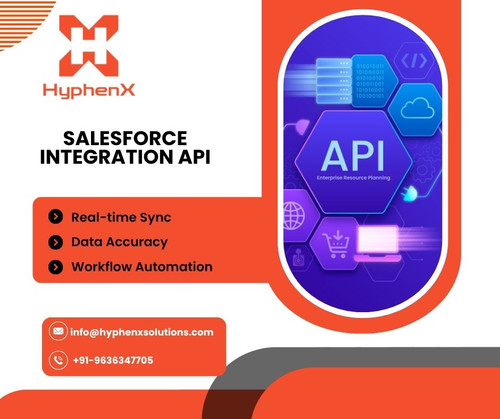 Salesforce Integration API .jpg