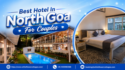 Best Hotel in North Goa for Couples | White Flower Cottages Near Vagator Beach.png