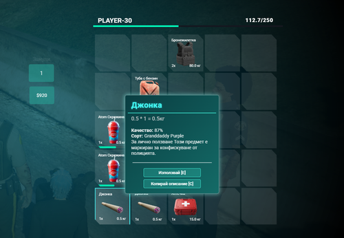 FiveM GTAProcess ChrC9HjXGm.png