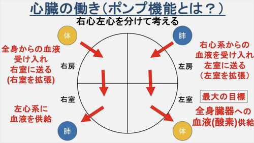 975b43fa1465.png