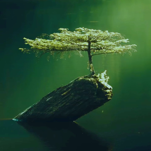 2026 04 06 17 50 45 Reddit İnternetin kalbi Brave 512x512.png