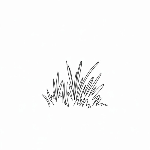 845c7949c755.jpg