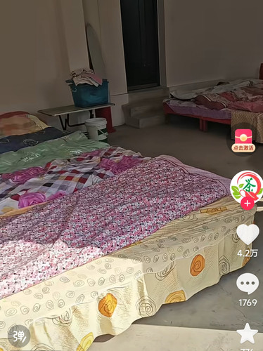 1000022942.jpg