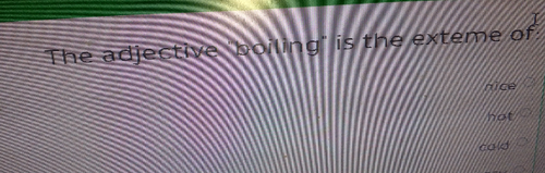 temp.png