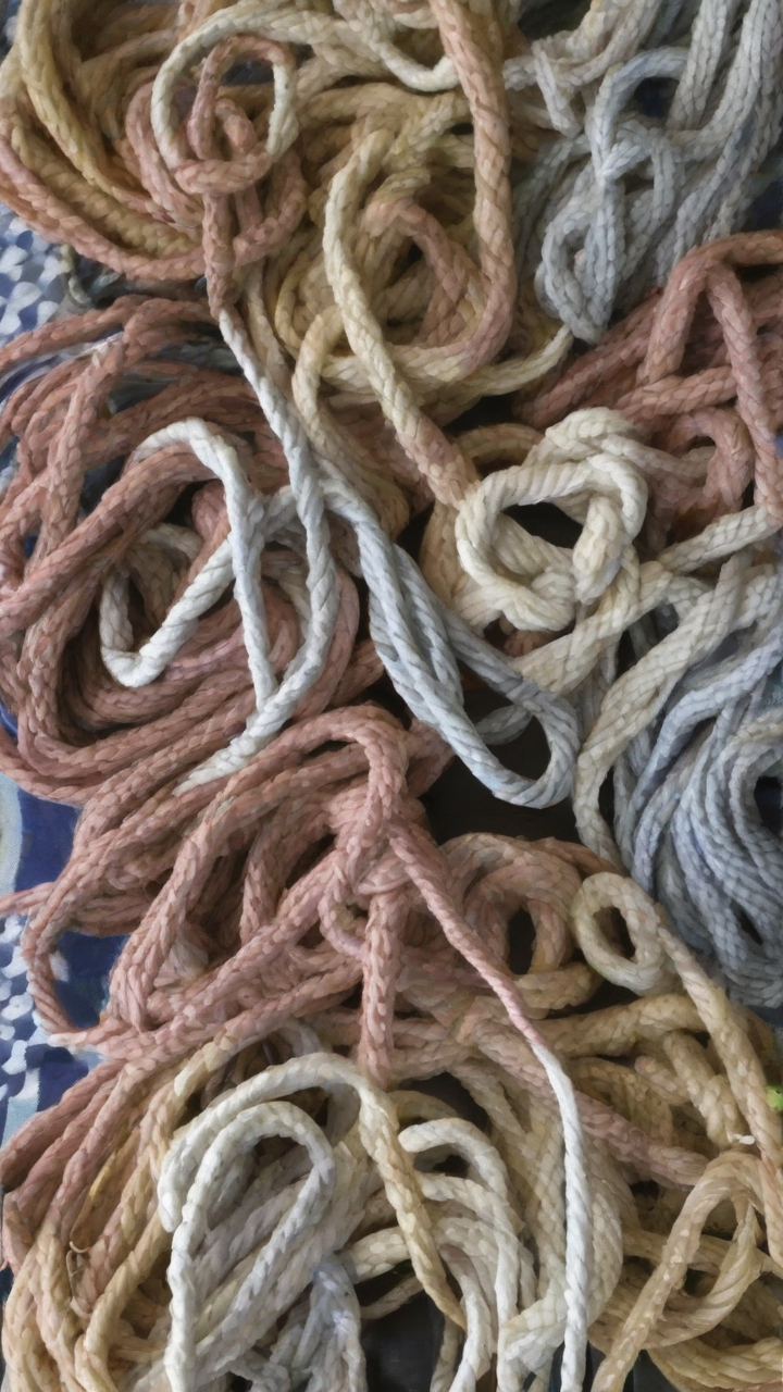 Love Knots, April 7, 2026