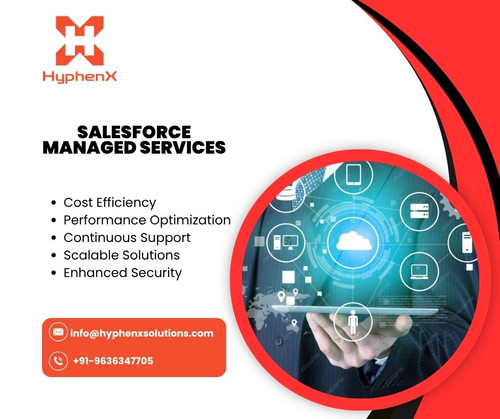 Salesforce Managed Services .jpg