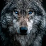 64dde14fe0c272e795fc9f1e67e4b6bb