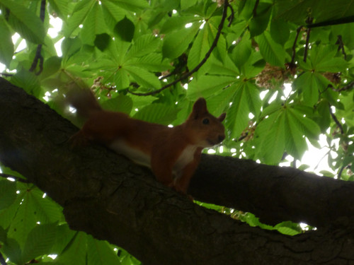 rl 44901031805 o.jpg