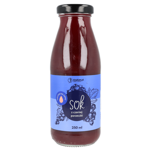 pol pm Sok z czarnej porzeczki 250ml 524607 1.png
