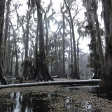 45b17296673bfc871fb332335ac4dfc9f66f39c8