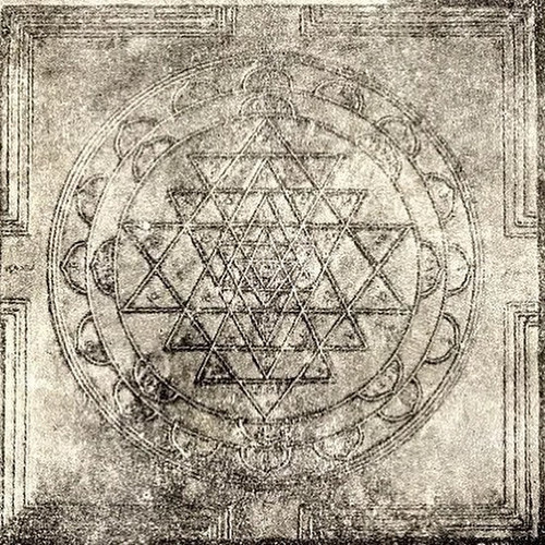 1762481358489.jpg